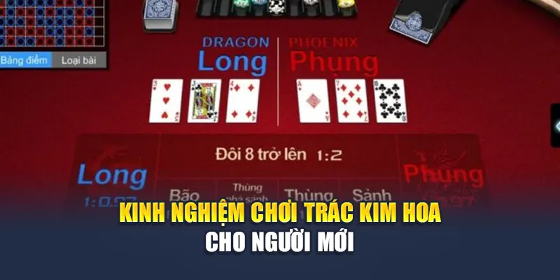 Luật Chơi Trác Kim Hoa Kubet Hướng Dẫn Chi Tiết Dễ Hiểu 3 Kinh nghiệm chơi Trác Kim Hoa cho người mới