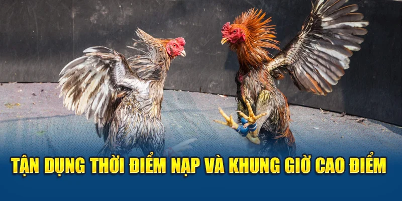 Tận dụng thời điểm nạp và khung giờ cao điểm
